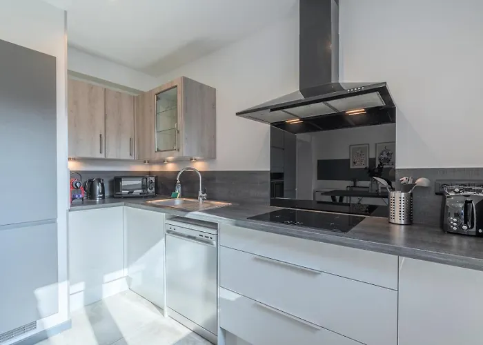 Maison d'hôtes House 4bed 2bath With Garden And Private Parking. La Madeleine (Nord)